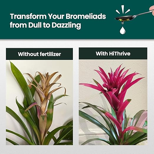 Fertilizante para Bromelias HiThrive 16 oz, Líquido Concentrado miniatura 3