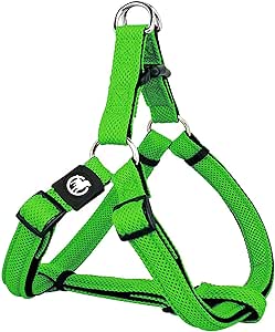 Pettorina Per Cani In Pelle Pupakiotti - Taglia Piccola E Media, Regolabile, Comoda E Sicura