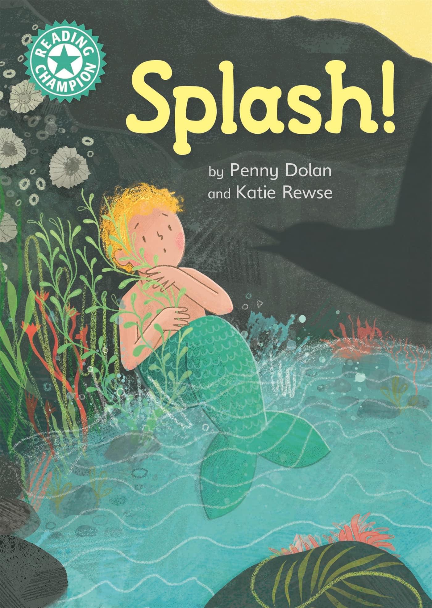 Splash!: Independent Reading Turquoise 7 (Reading Champion)