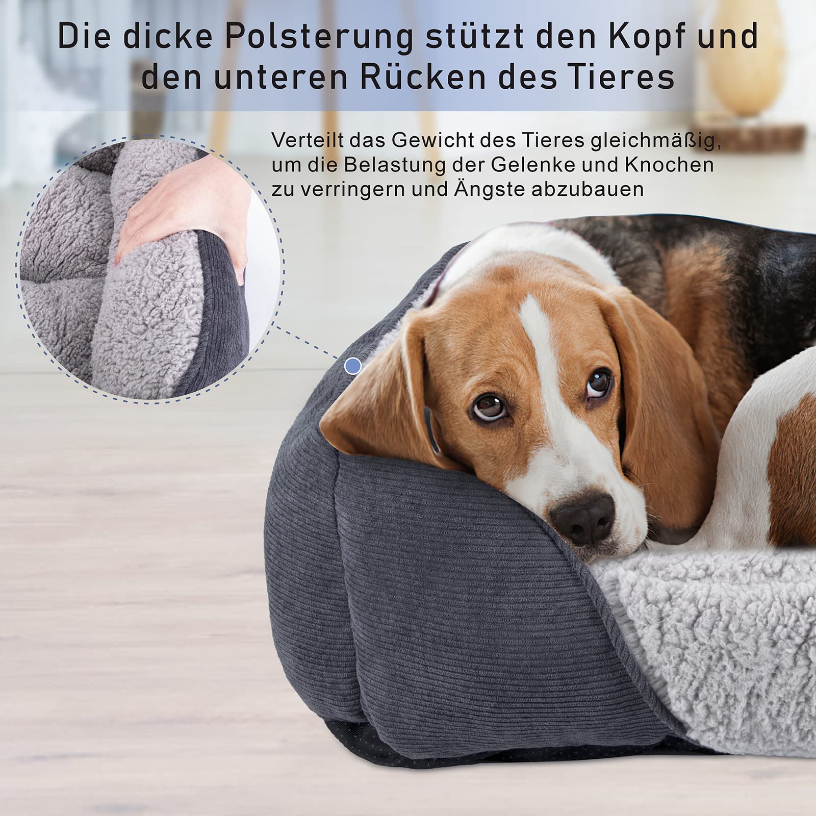 JOEJOY Cuccia Cane Interno Taglia Piccola Medio, Lavabile, Letto morbida e antiscivolo, rettangolare, M(63×53×20 cm) Grigio