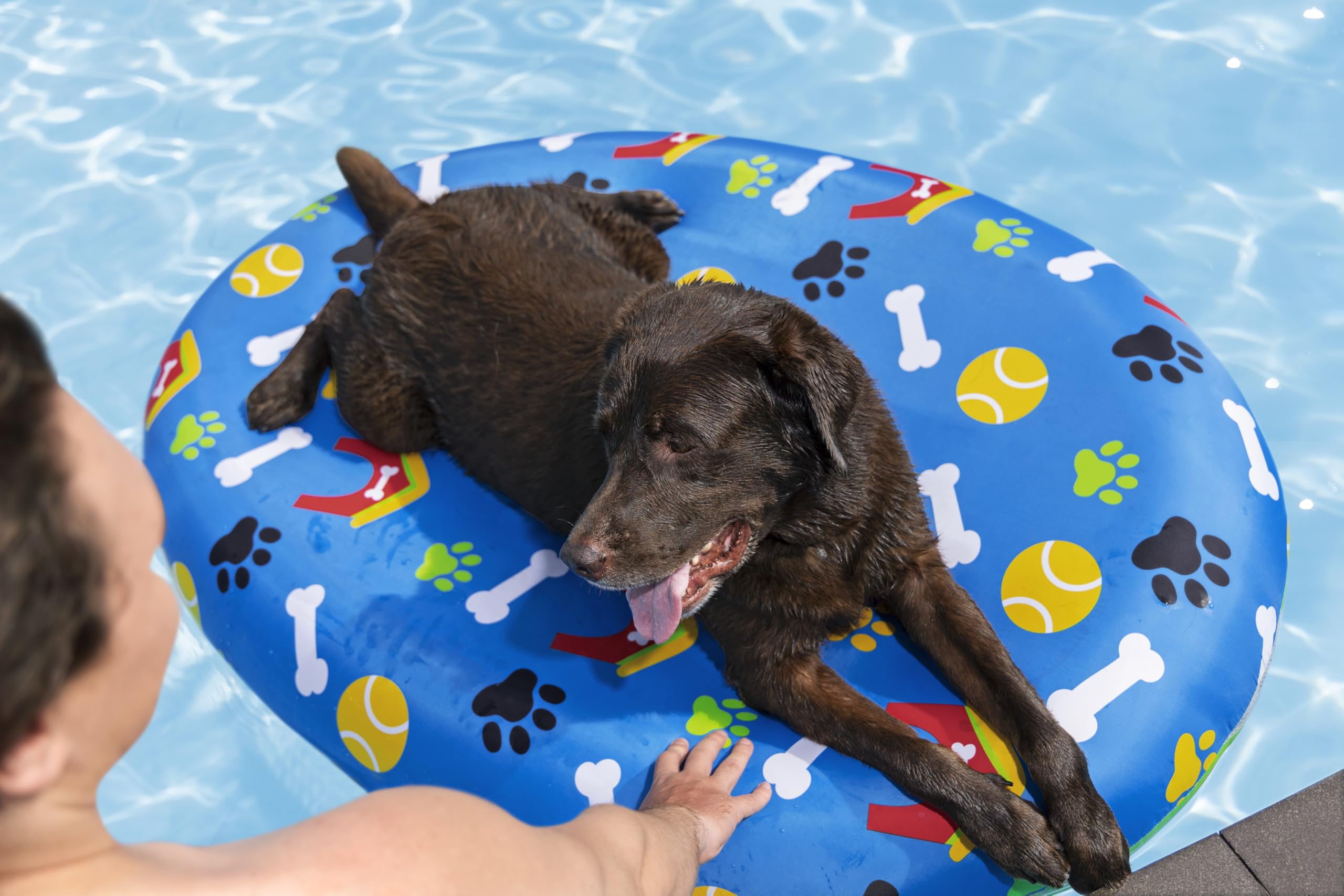 Bestway 43849 Materassino da piscina per cani Fetchin' Fun da 142x95 cm
