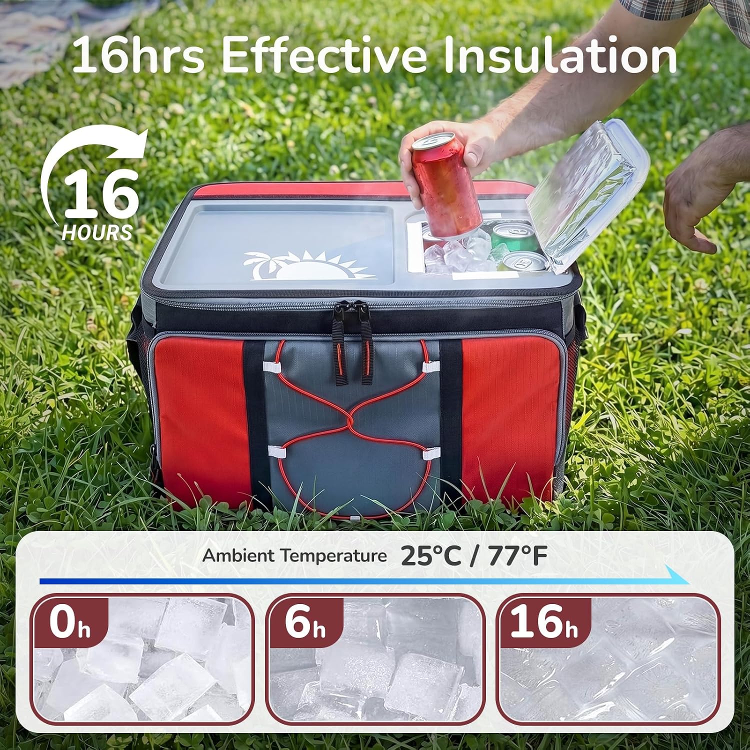 50-Can Hard Top Large Rolling Cooler with a Hard Base Plate, Leakproof Insulated Cooler with Wheels and Handle Collapsible for Outdoor
