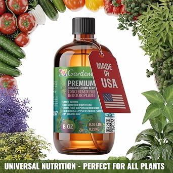 Gardenera Premium Kelp Concentrate for Citrus Trees - 24 oz - Amplify Fruit Size and Taste for a Satisfying Harvest