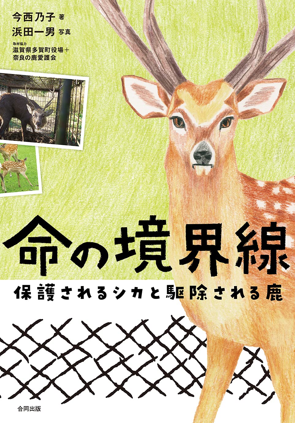 Amazon.co.jp: 命の境界線: 保護されるシカと駆除される鹿 : 今西乃子