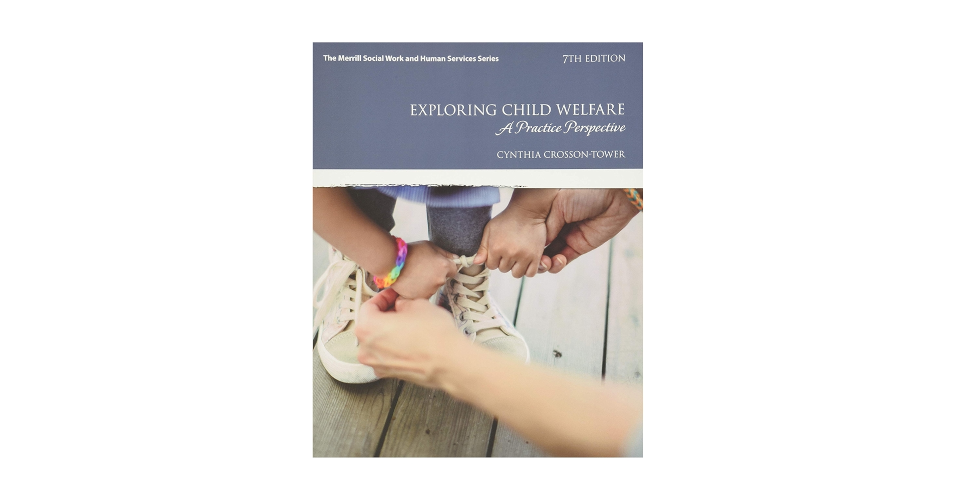 洋書 Social Choice and Welfare Welfare Economics and Social Choice Theory: 9780387293677