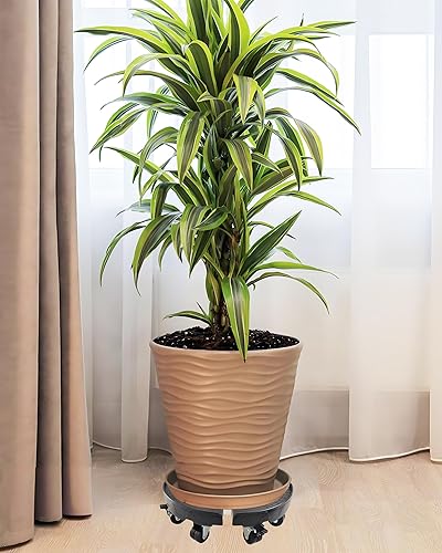 Miniatura 6 de Organizador cuadrado para plantas con ruedas, resistente para interiores y exteriores, paquete de 2 de 12 pulgadas, soporte rodante para plantas con