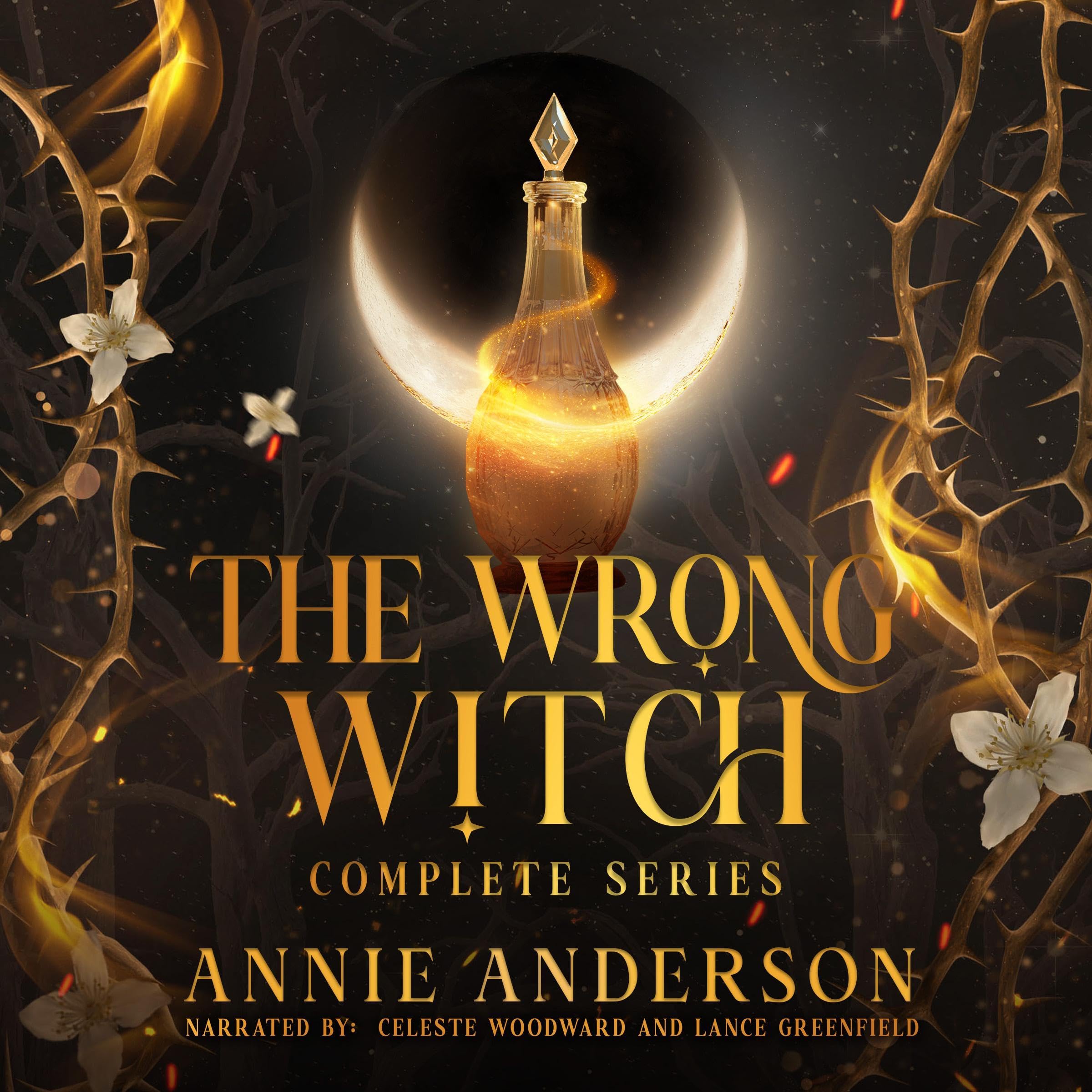 Cover art for The Wrong Witch Complete Series