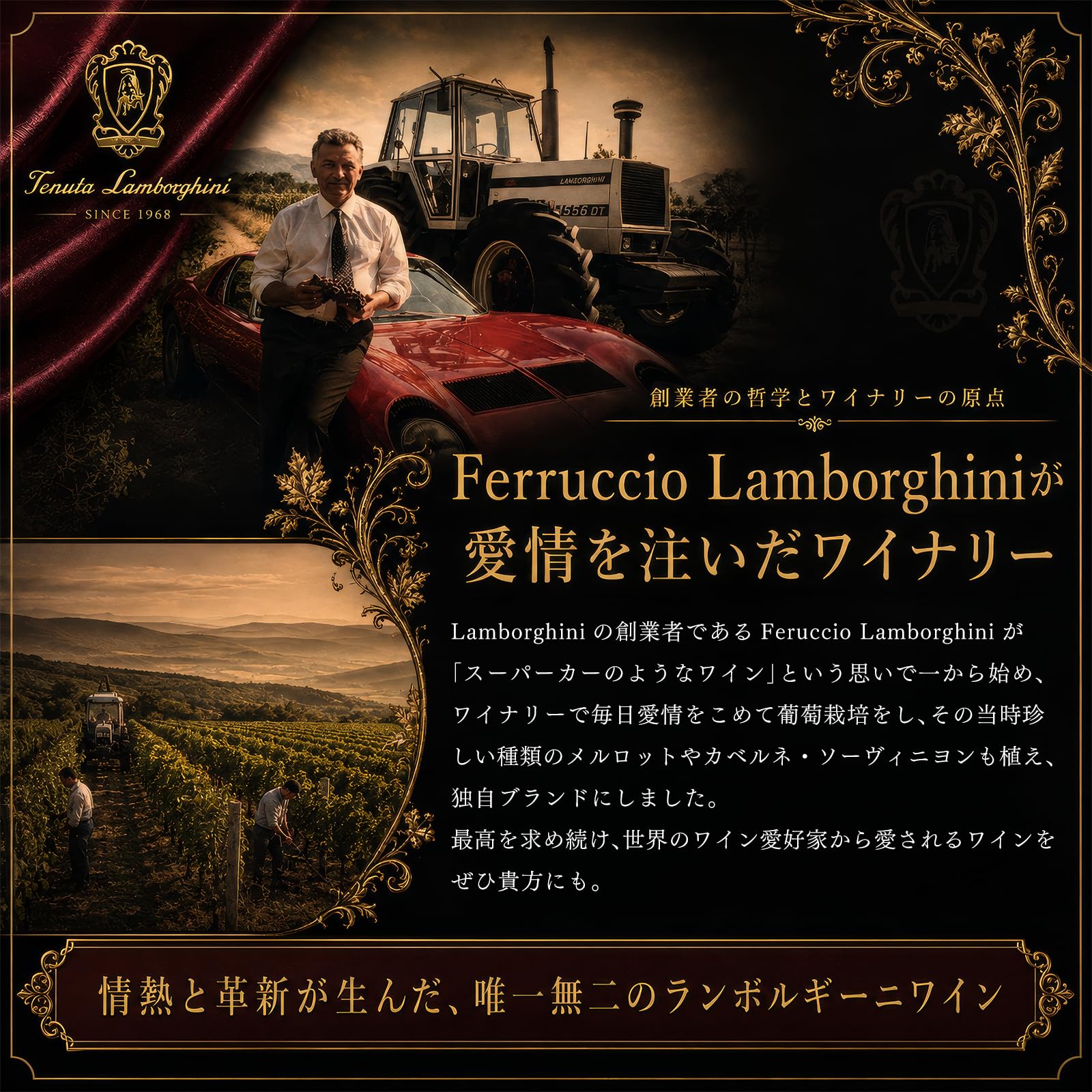 Amazon.co.jp: 【ランボルギーニ 正規品】ランボルギーニ ワイン