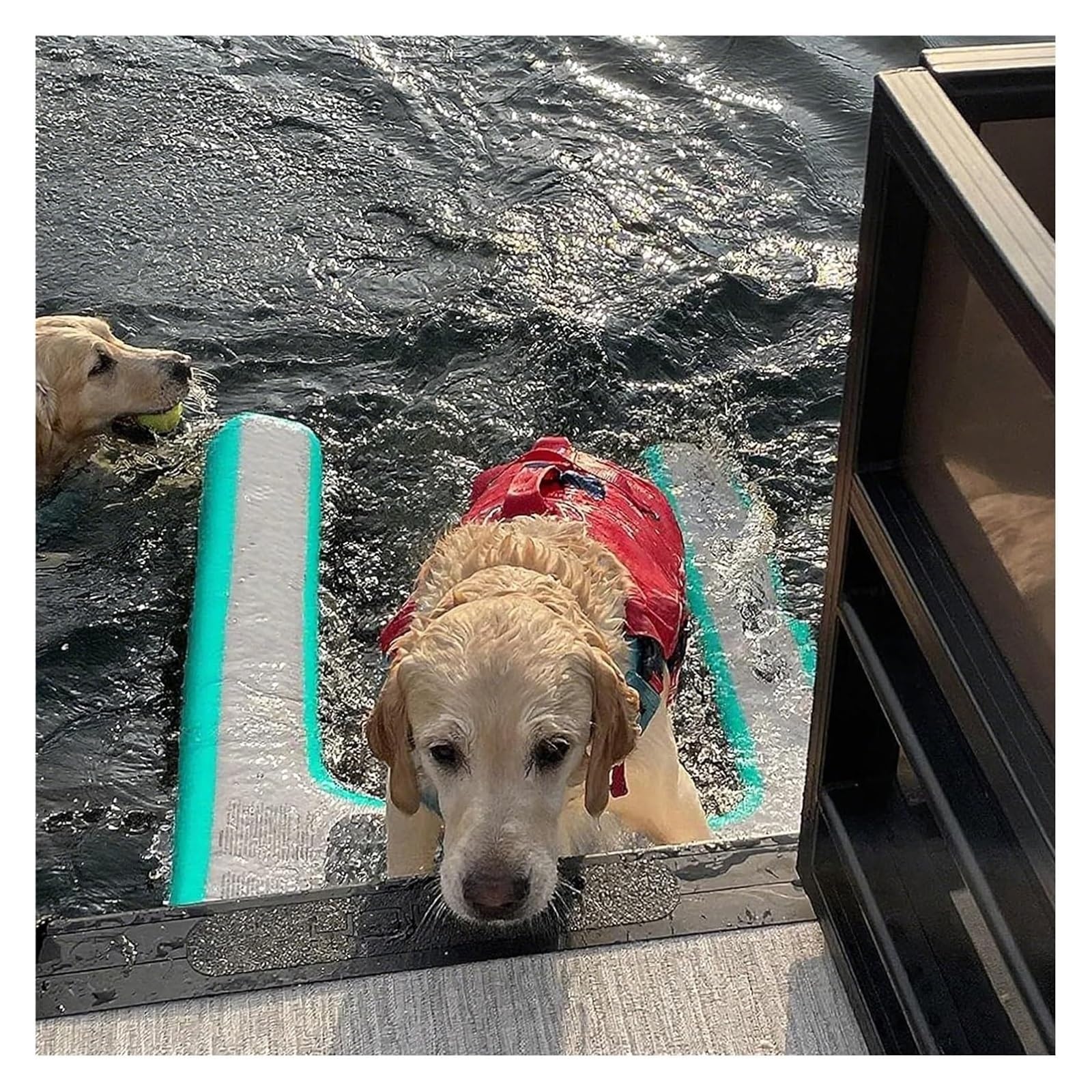 WDJBPSH Heavy Duty Inflatable Dog Boat Ramp, 132 Lbs Capacity Floating Pet Ladder, Non-Slip Mesh Entry for Large Dogs, Yacht Dock & Lake(Green)
