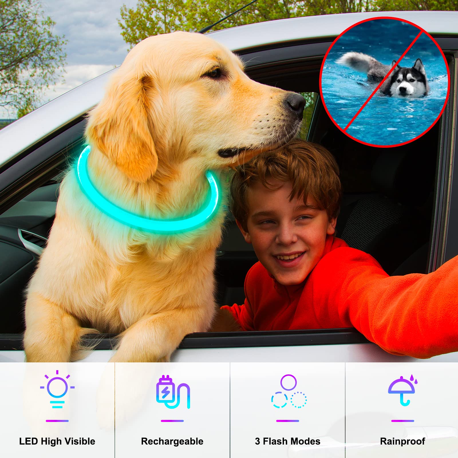 Collare per cani luminoso ricaricabile tramite USB, collare per cani a LED per sicurezza notturna, collare per cani in TPU tagliabile, che si illumina al buio, per cani di taglia piccola, media e