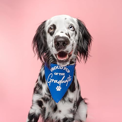 Miniatura 2 de Proud Pup of The Graduate Graduation Class of 2023 - Bandana para perro (737 negro Scrunch, talla única)