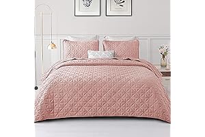 Exclusivo Mezcla Quilts Twin Size Bedding Set