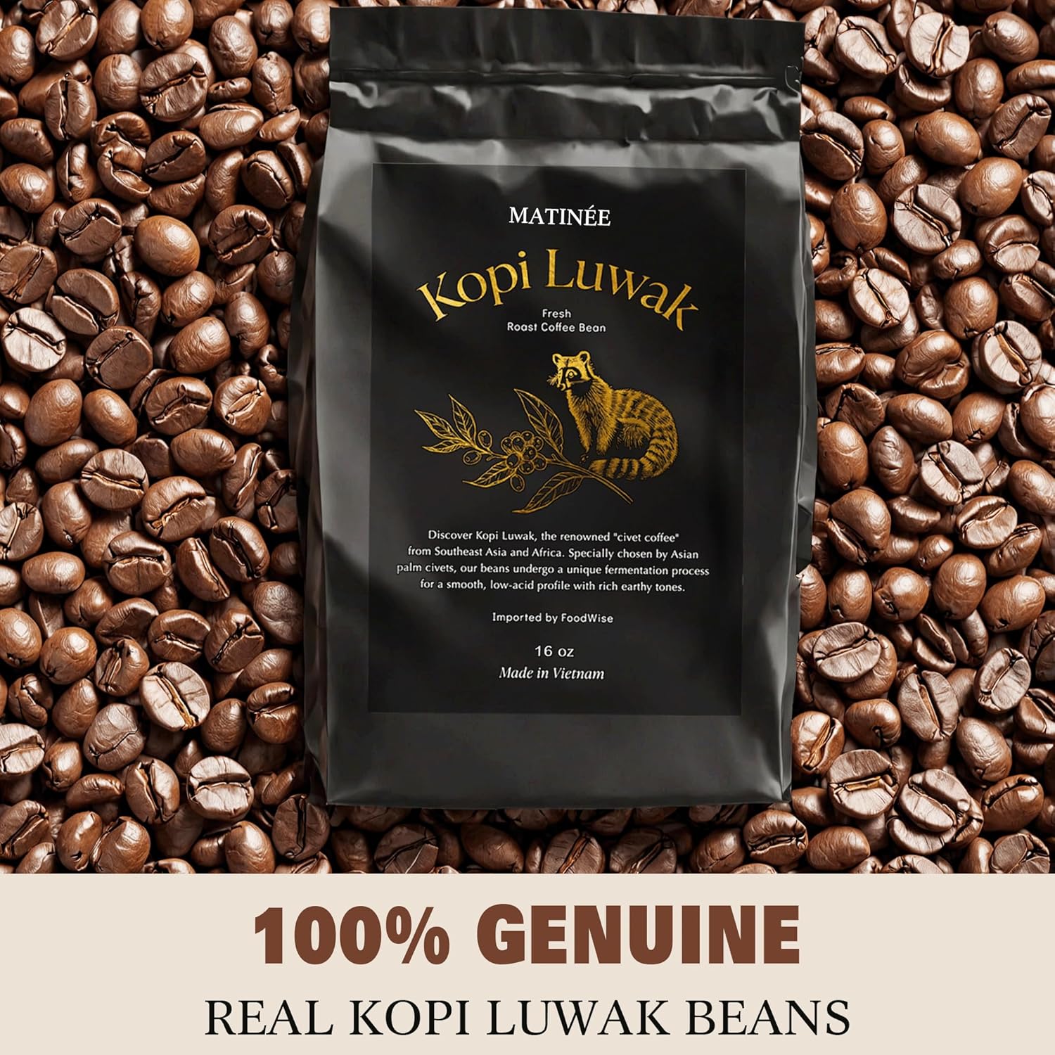 MATINÉE Wild Kopi Luwak Coffee Beans, Medium Roast, Whole Bean Coffee, Sustainably Sourced From Vietnam, 16oz / 454 Grams