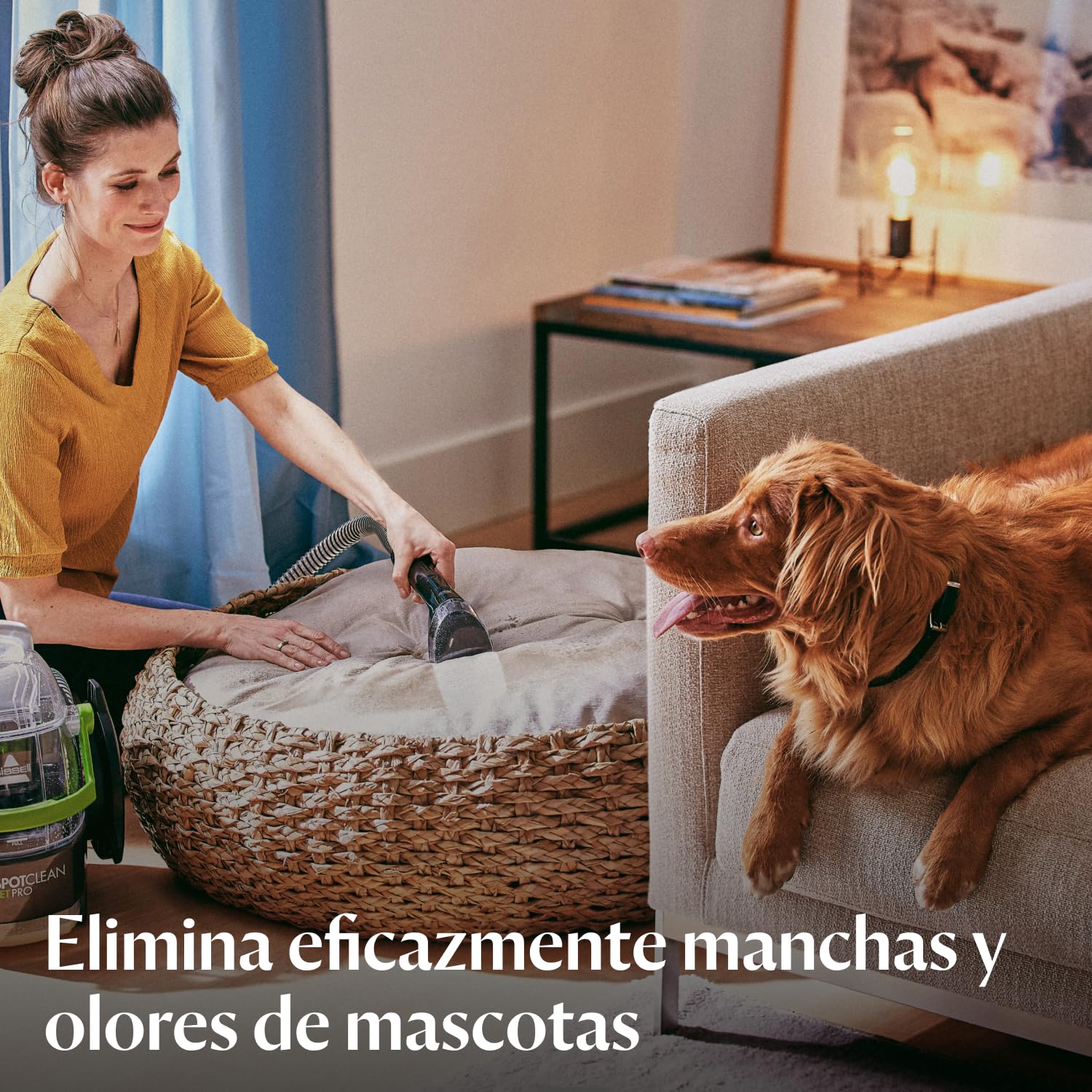 BISSELL 15585 SpotClean Pet Pro portátil, negro/verde, 750 W, 84 decibelios + accesorio de limpieza de manchas para todos los limpiadores de manchas y alfombras Bissell