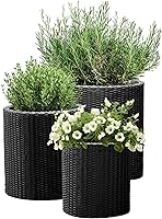 Keter Cylinder Set of 3 Rattan Resin Planters 11/14/17 Inch Black - Durable Indoor Outdoor Porch Patio Pots