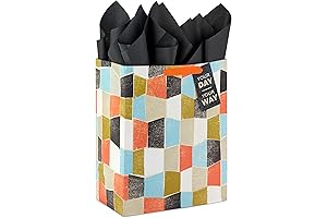 Large-Sized Gift Bags with Tissue Paper for Presents