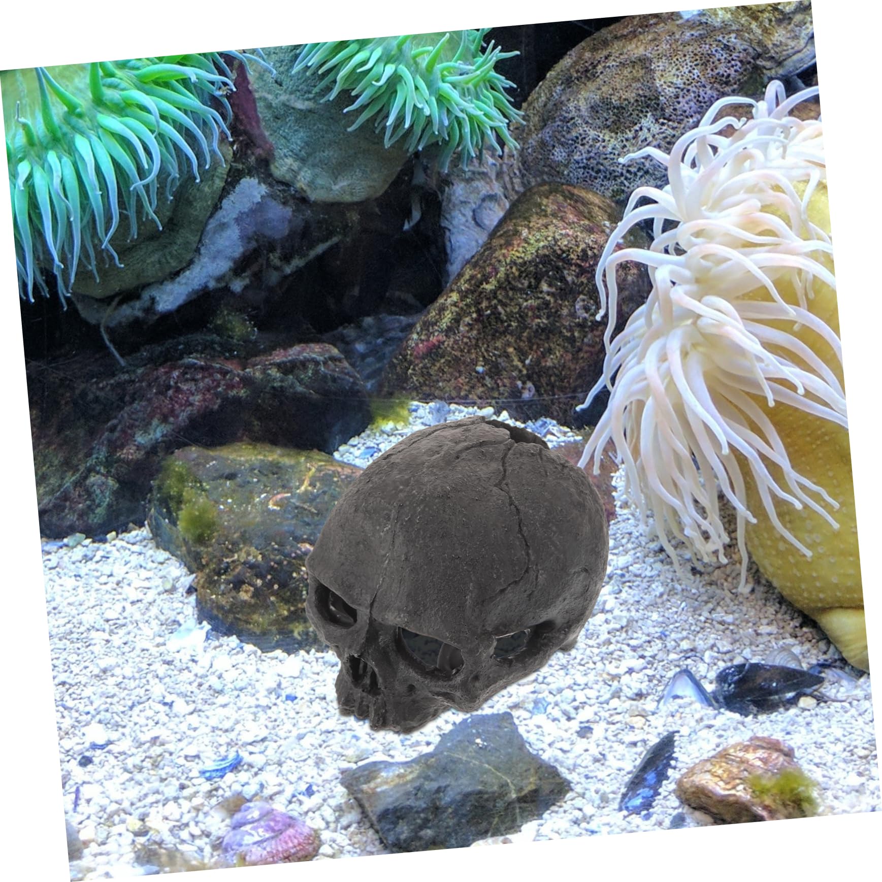 CLMJHG FCXDMY Acquario Decorazione Teschio Statuetta in Resina Teschio Nascondiglio per Acquari e Rettili Ornamento Realistico per Grotta Resistente Sicuro per Pesci e Cingolati