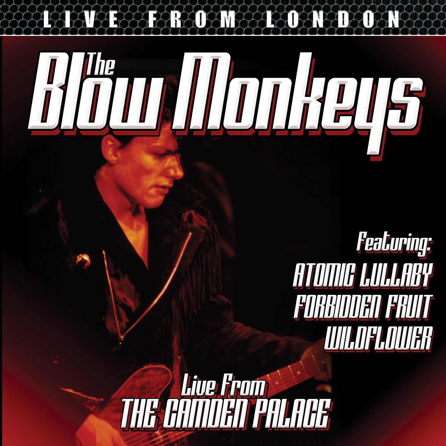 The Blow Monkeys: Live From London [DVD] [2012] [NTSC]