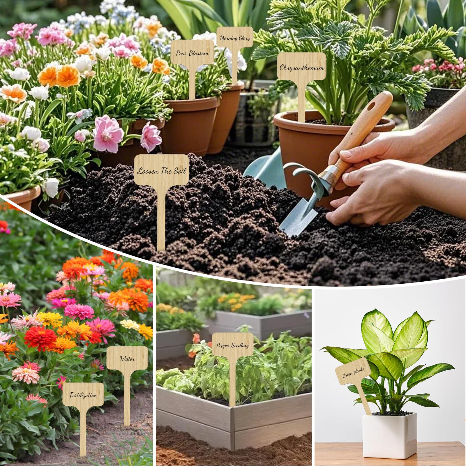 Cartel para plantas de madera con rotulador para plantas, de bambú, extralargo, en forma de T, para verduras, hierbas, flores, (altura: 18 cm x ancho: 6 cm)