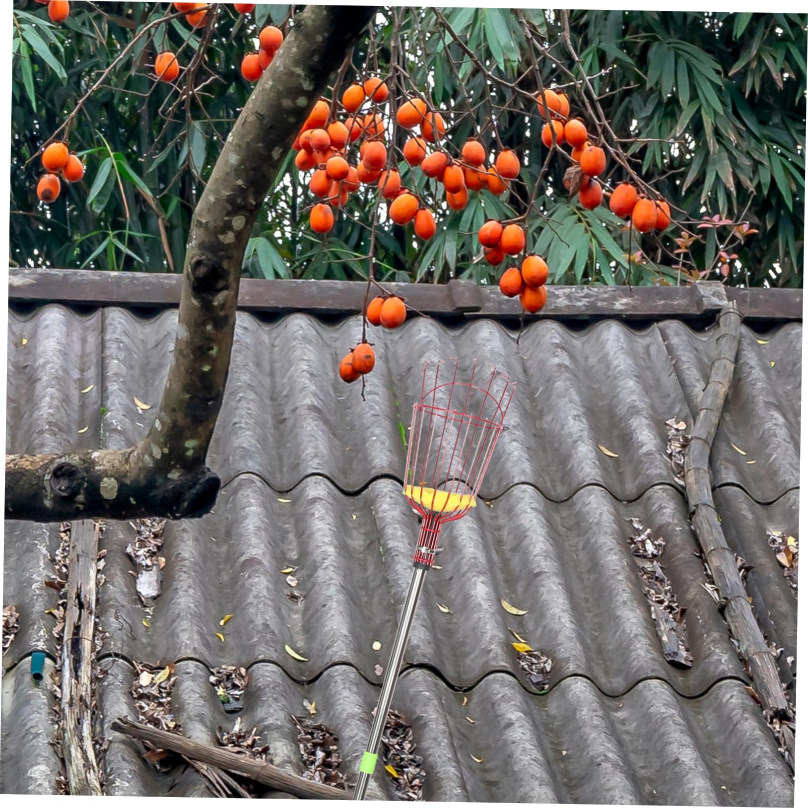 1.6m Cueille-Fruits Extensible avec Panier pour Fruits Perche à Fruits Réglable pour Cueillette Facile