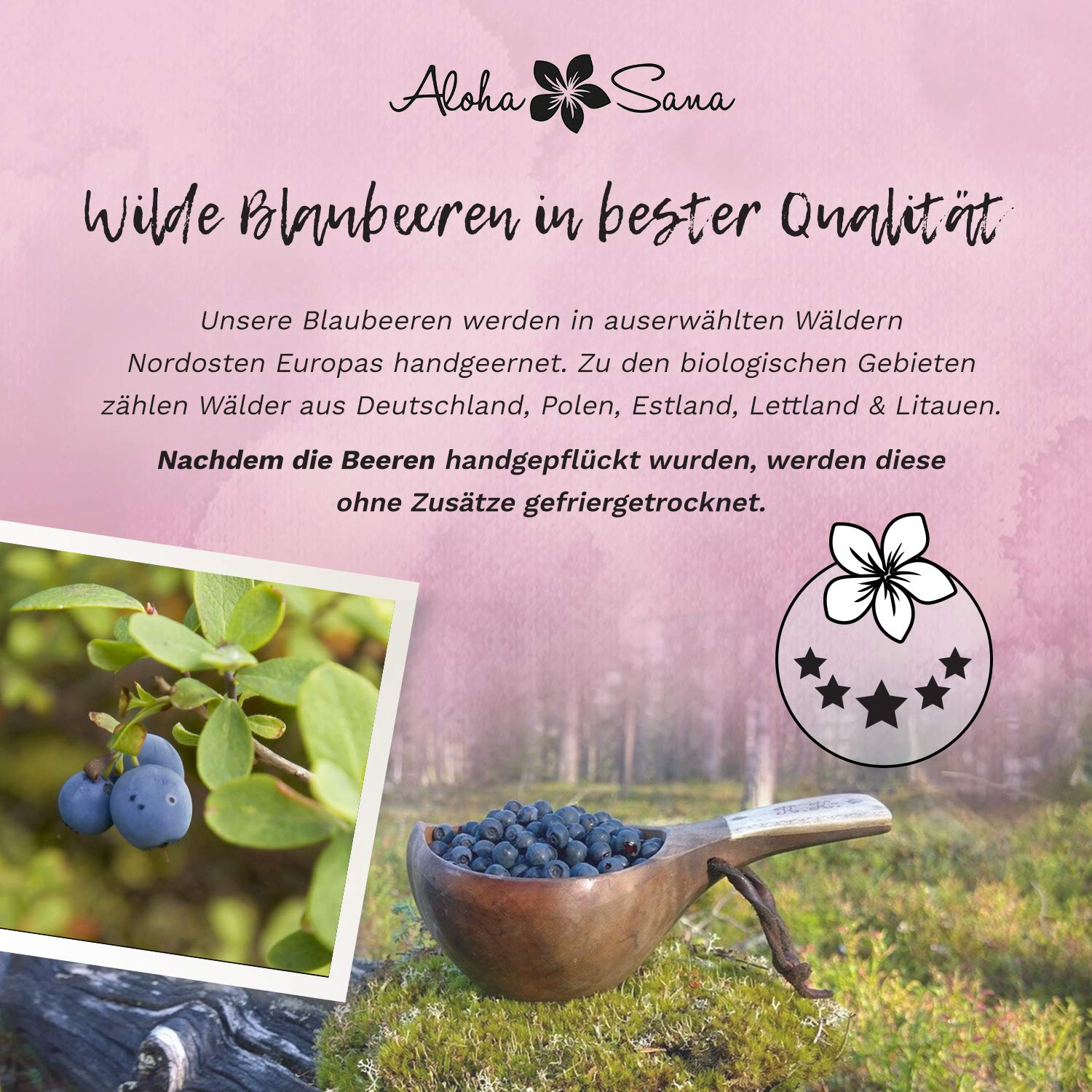 Aloha Sana | Wilde Blaubeeren Pulver BIO in Rohkostqualität (110g) | Heidelbeerpulver gefriergetrocknet wild | Blaubeerpulver getrocknet im Ultraviolettglas | Laborgeprüftes Fruchtpulver
