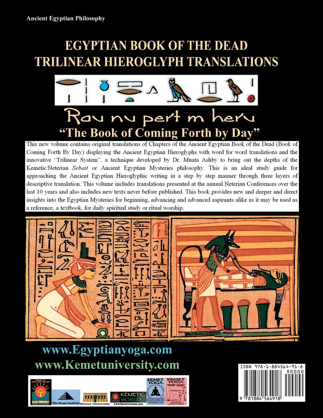 Egyptian Book of the Dead Hieroglyph Translations Using the Trilinear Method: Understanding the Mystic Path to Enlightenment Through Direct Readings ... Language With Trilinear Deciphering Method