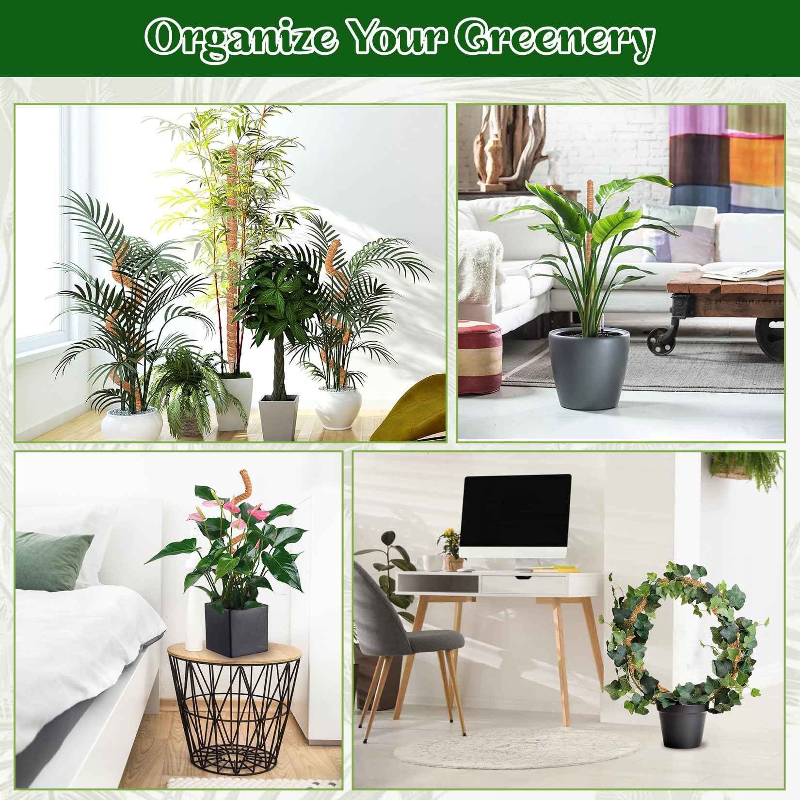 Monstera podpora do roślin pnących do roślin pnących do roślin pnących do wnętrz, 2 sztuki, 160 cm, drążek kokosowy Monstera, elastyczna pałeczka do mchu z akcesoriami