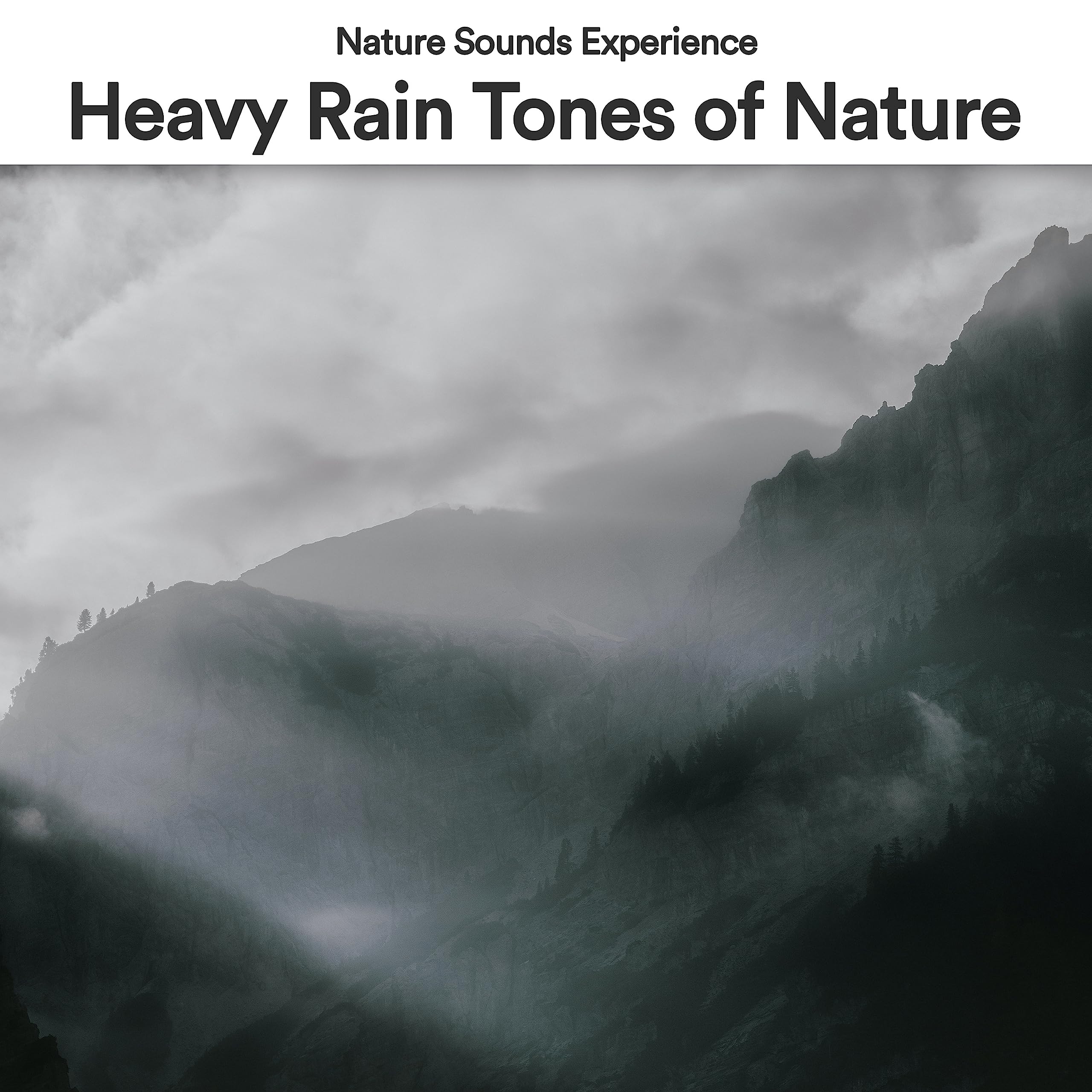 Nature Sounds Experience