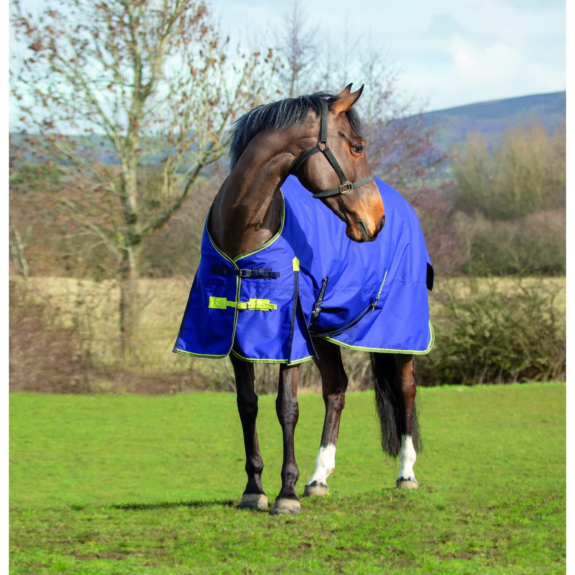 Asker 0g Horse Lightweight Standard Neck Turnout Rug - Navy Blue 6ft3