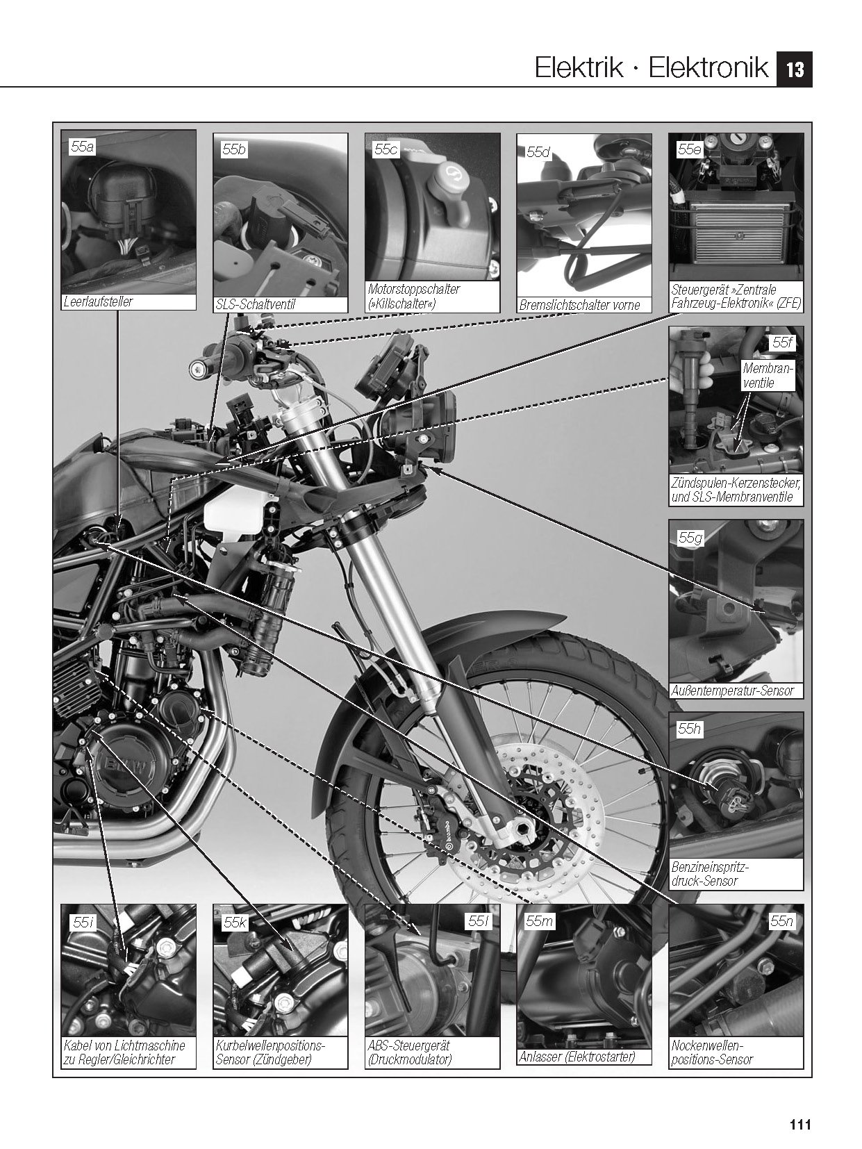 BMW F 800 GS ab Modelljahr 2008 (Reparaturanleitungen)