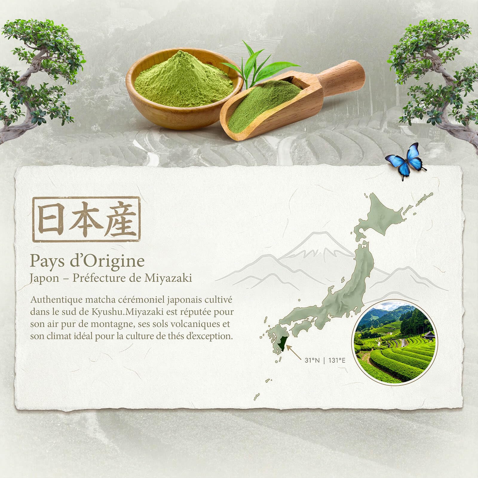 Coffret Matcha Bio Mary Rose Kit Cérémonie Thé Japonais