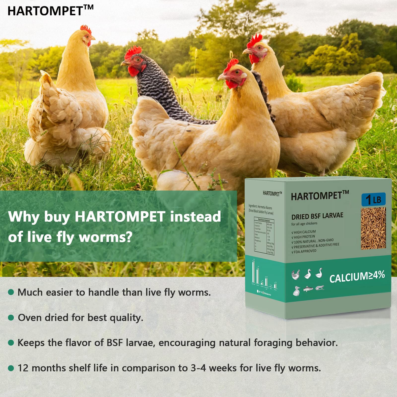 HARTOMPET Better Than Dried Mealworms For Chickens 1 Lbs 85X Calcium Than