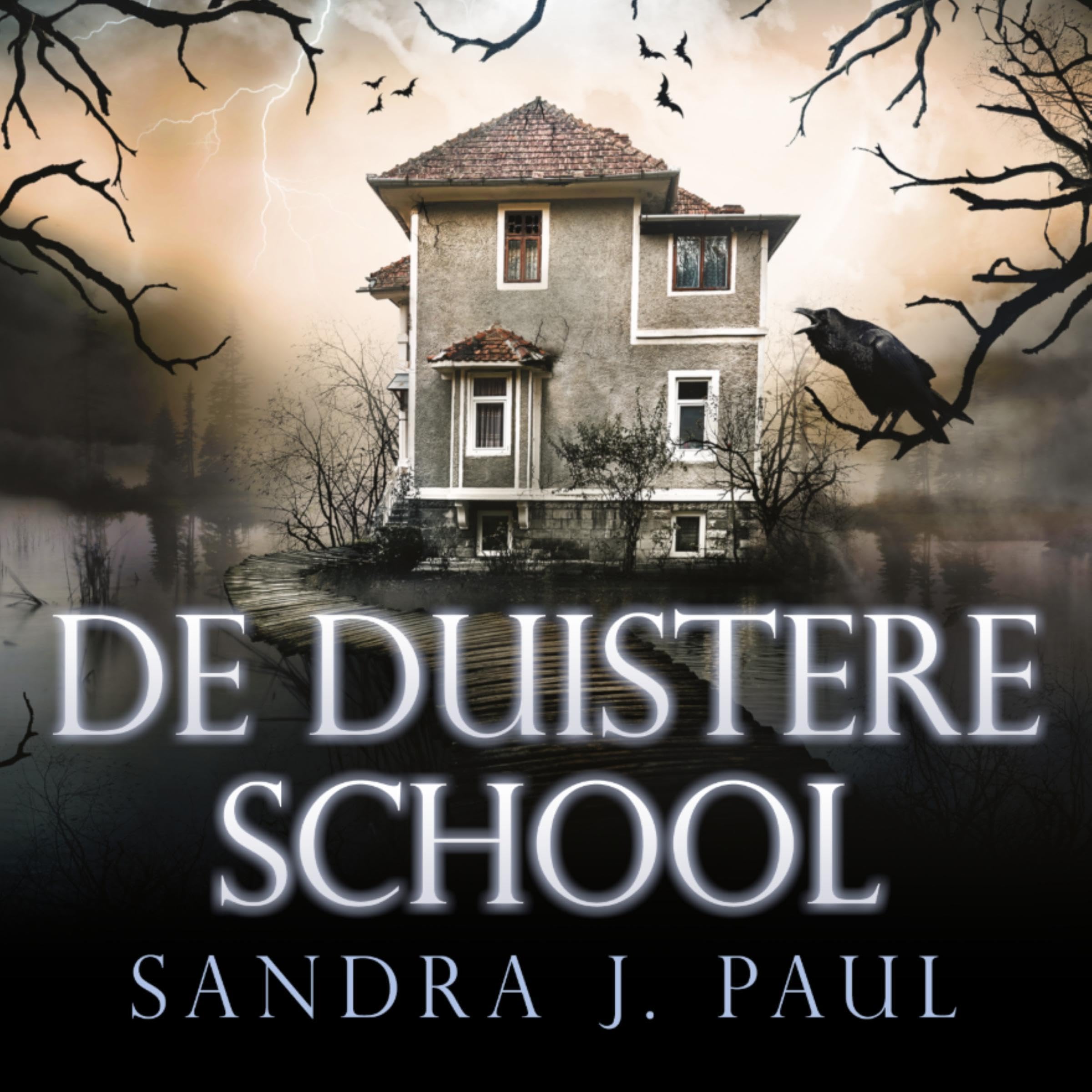 Cover art for De Duistere School