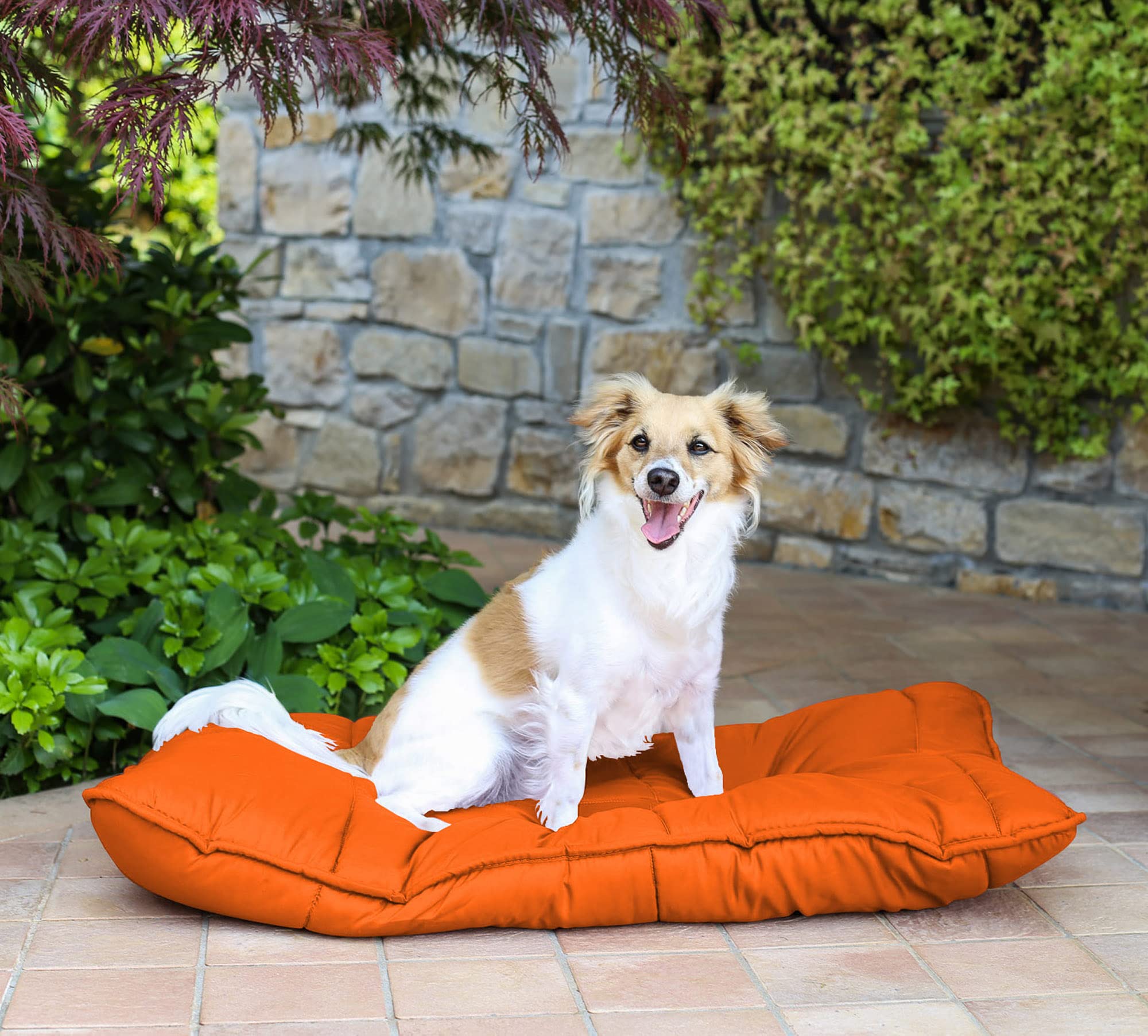 Elegant Hondenkussen Maxy, geel, 60x100cm