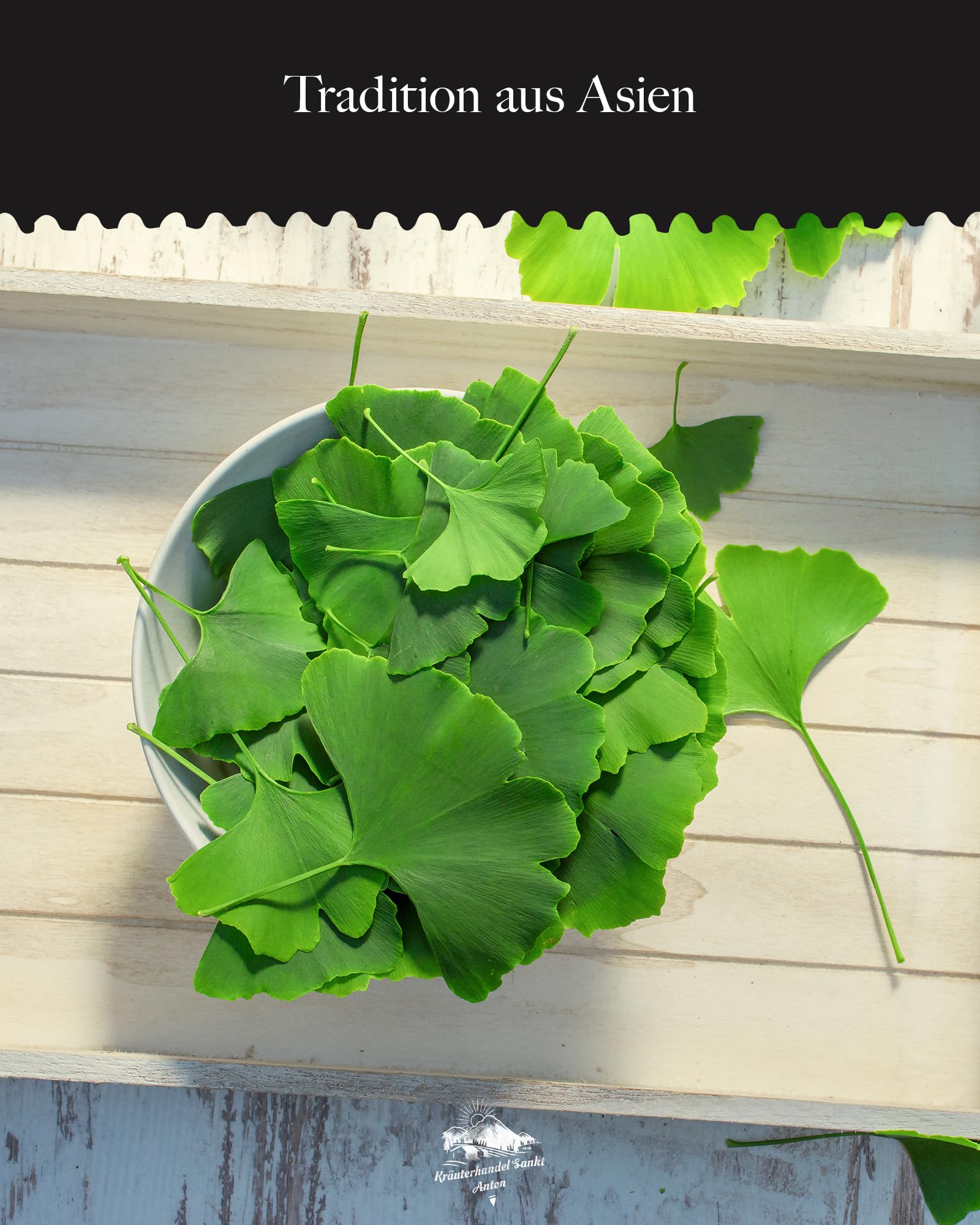KRÄUTERHANDEL SANKT ANTON® - Ginkgo Biloba 7.500 Supra Kapseln - Hochdosiert - Laborgeprüft - Deutsche Premium Qualität (360 Kapseln)