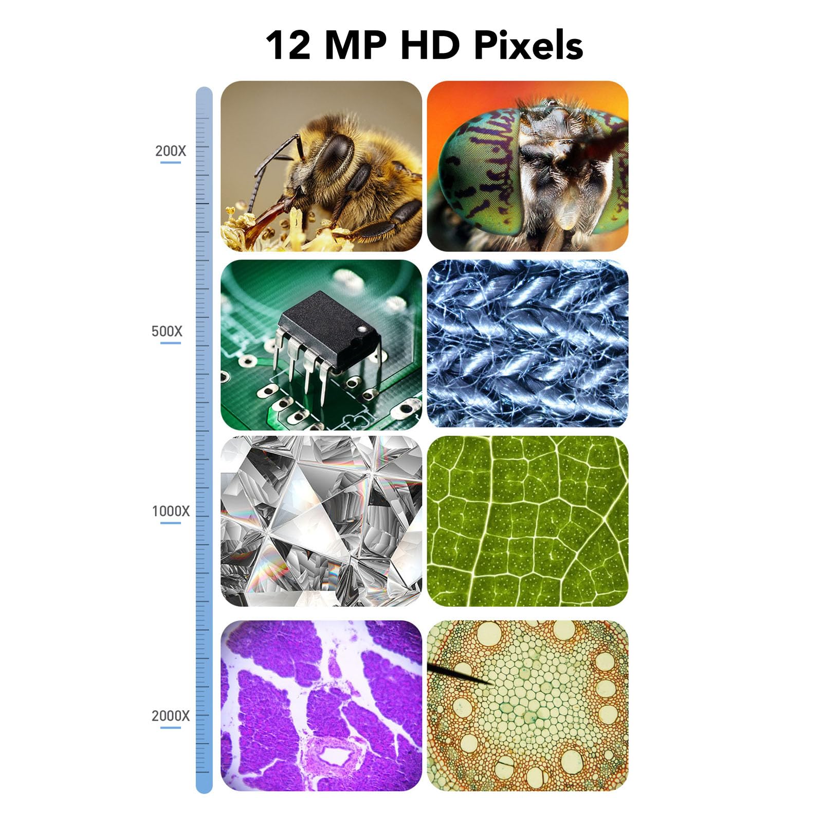 Microscopio Digitale con Display IPS HD da 7 Pollici