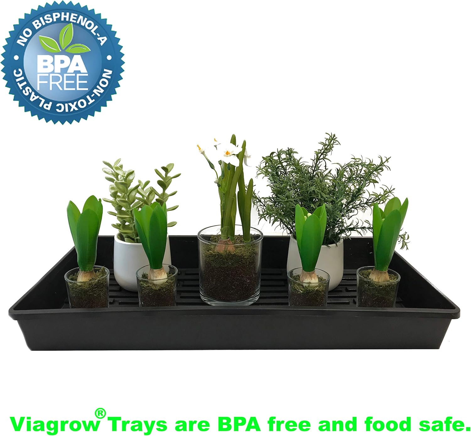 Viagrow V726298-10 Quad Thick Propagation, 10 Trays, black