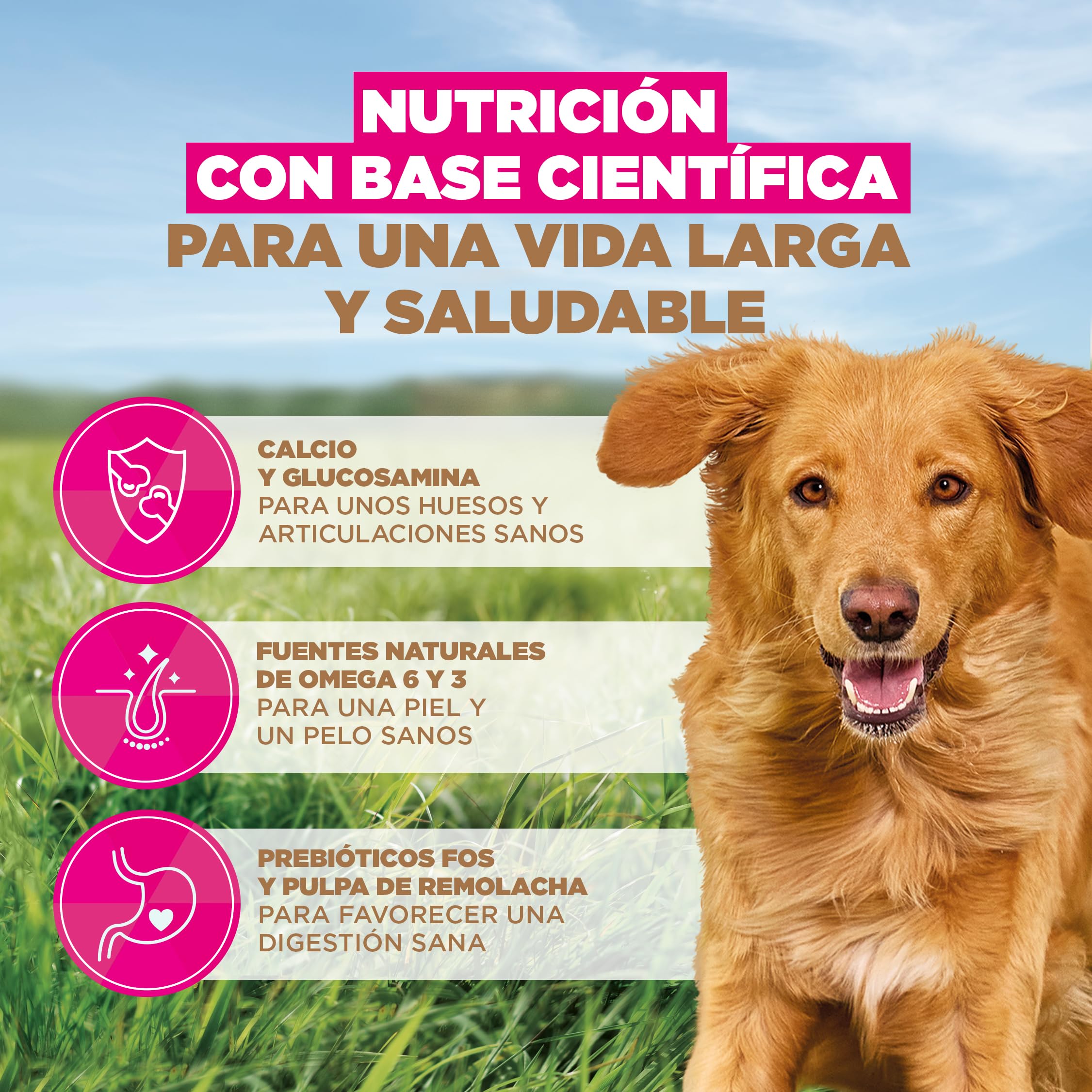 Eukanuba, alimento para Perros sin Cereales con Cordero para Razas Grandes - Alimento seco Premium sin Cereales para Perros Adultos, 12 kg