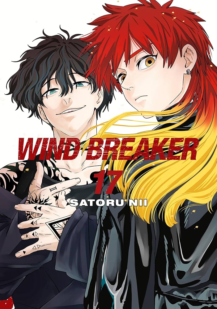 WIND BREAKER 17: Nii, Satoru: 9781646519644: Amazon.com: Books