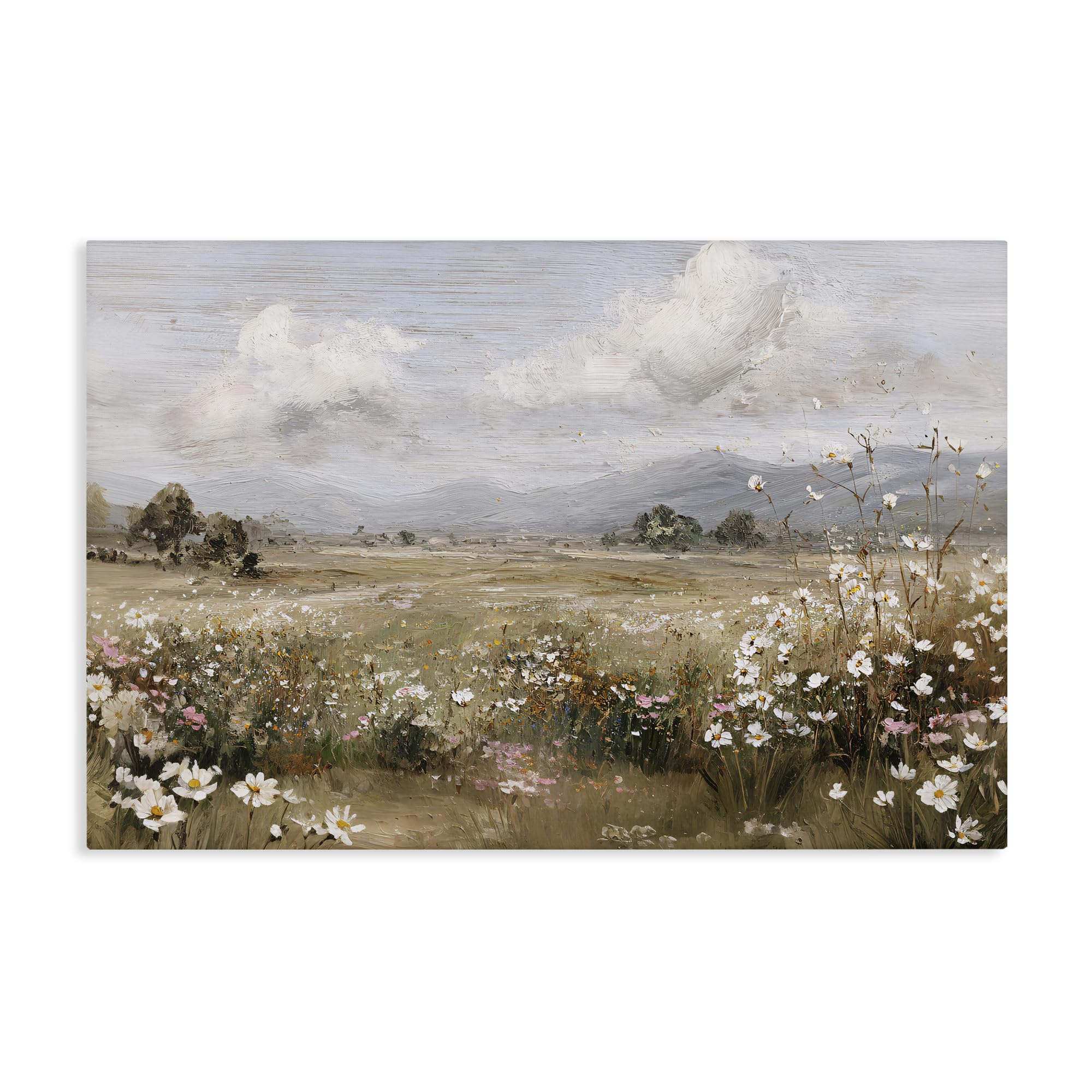 'Daisy Clusters in Field'| Canvas Art