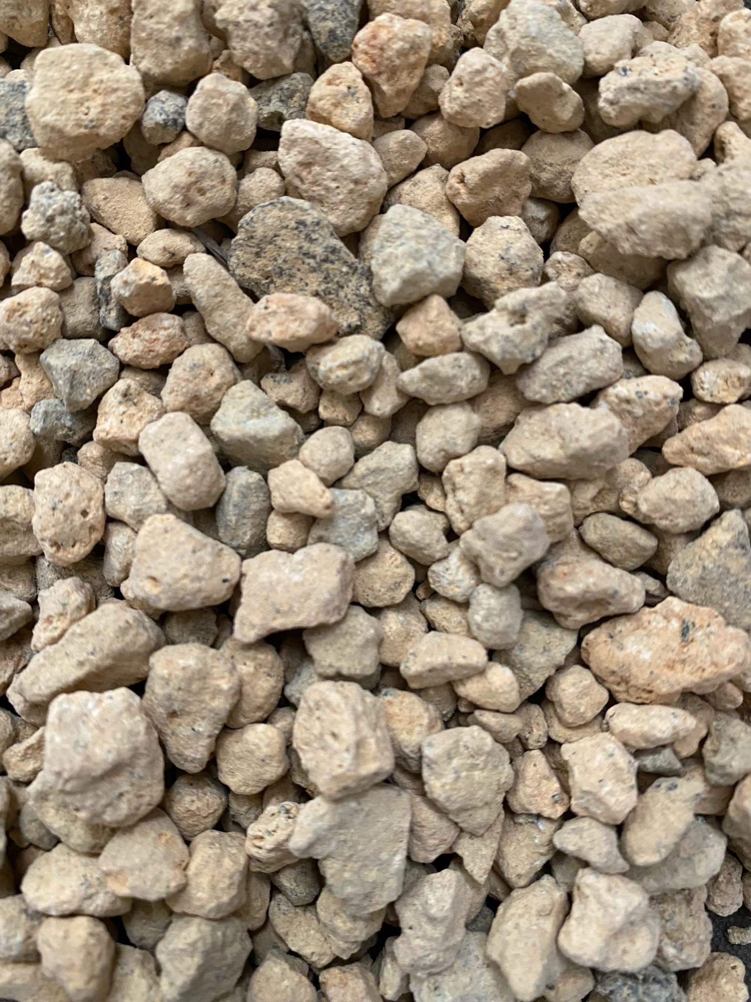 Amazon.com : 1 Quart Genuine Japanese Kiryu Fired (Heat Treated) for Pines  & Junipers Bonsai Tree Soil Mix - Medium Grain (1Q KIRYU M) : Patio, Lawn &  Garden