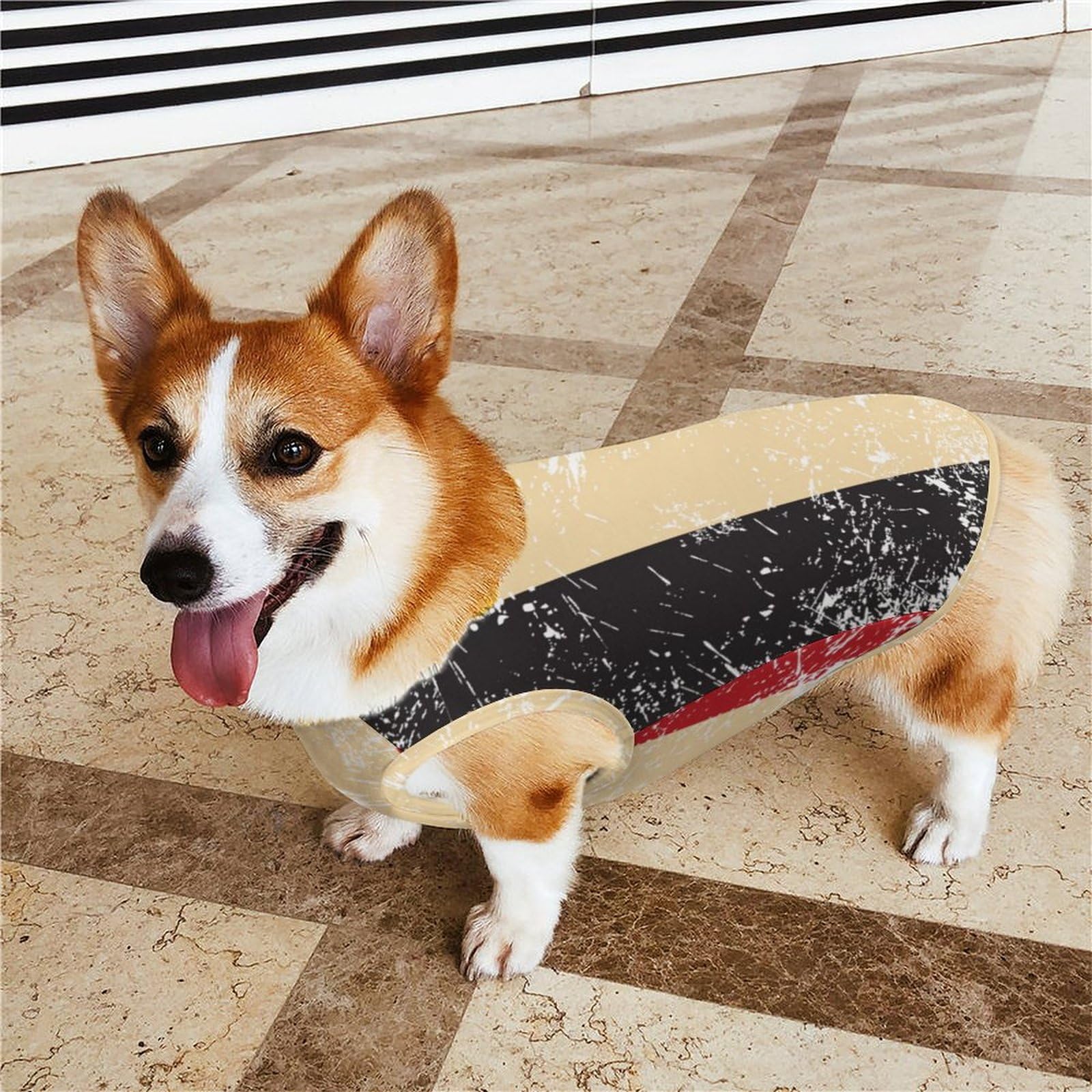 Welsh-Hundeflaggen T-Shirt Für Kleine Hunde & Katzen – Atmungsaktives Sommer-Top In Verschiedenen Größen (S-2XL)