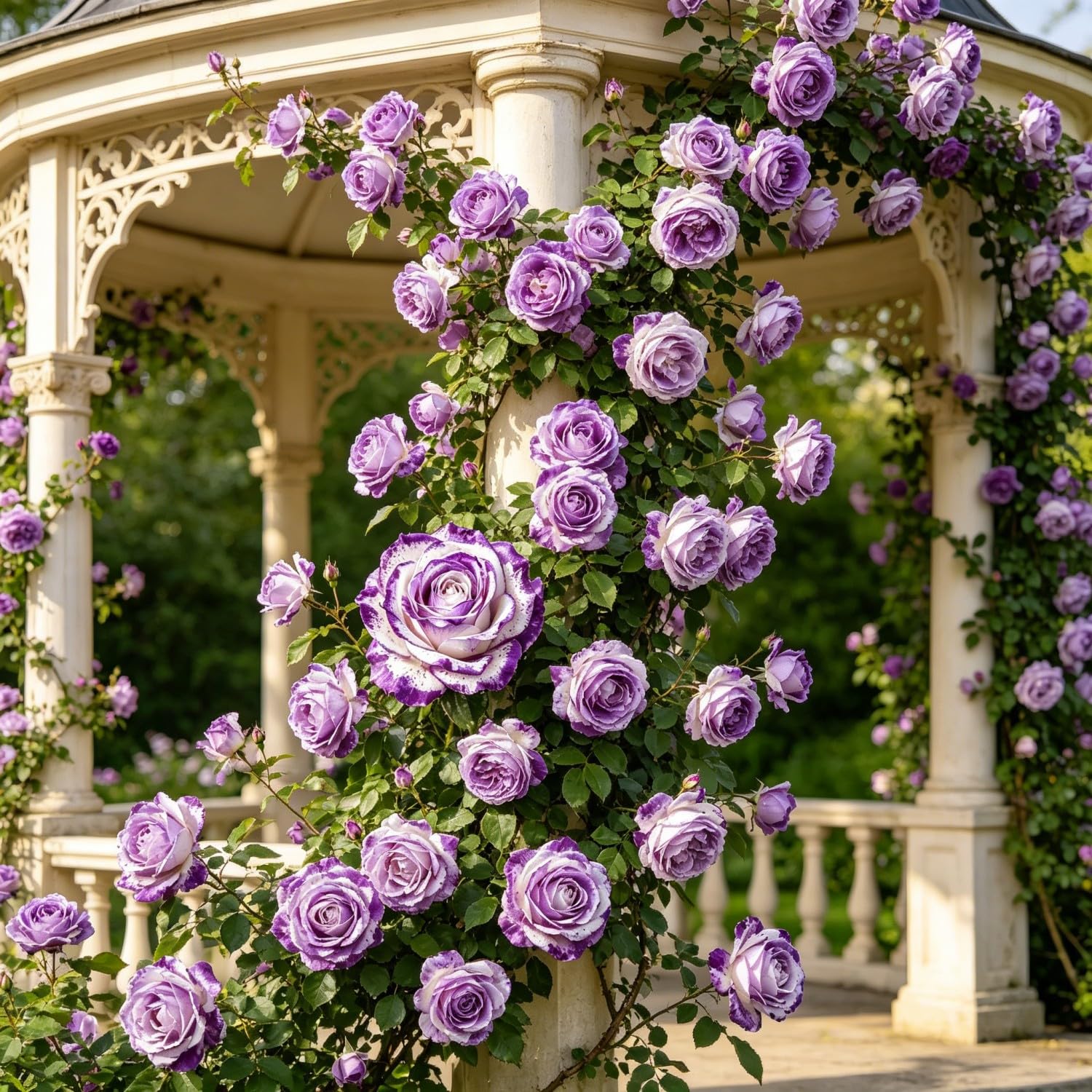 Climbing Rose-Hardy Perennial,Garden Flowers,Ornamental Flowers,Wedding Flowers，Professional Planting for Stunning Garden Displays-500pcs-N