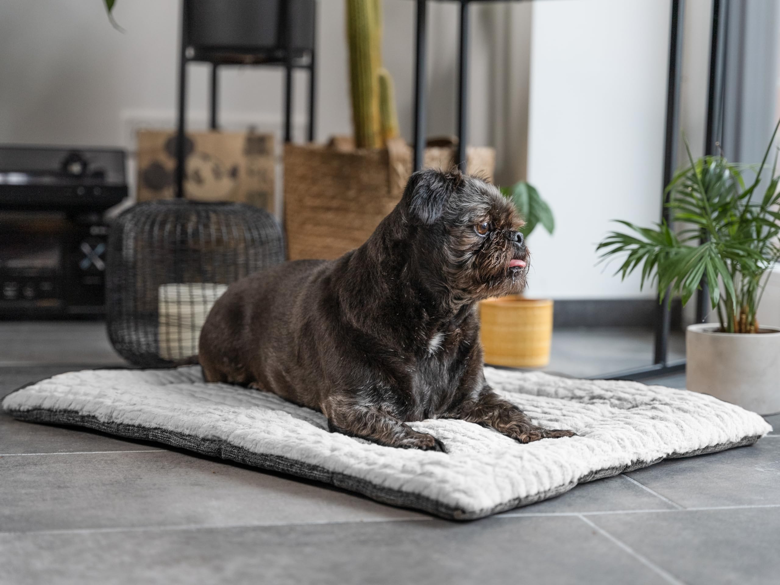 TrendPet Hundedecke Heaven gefütterte Liegedecke, Wendedecke für Hunde und Katzen, Grau (90x65cm)