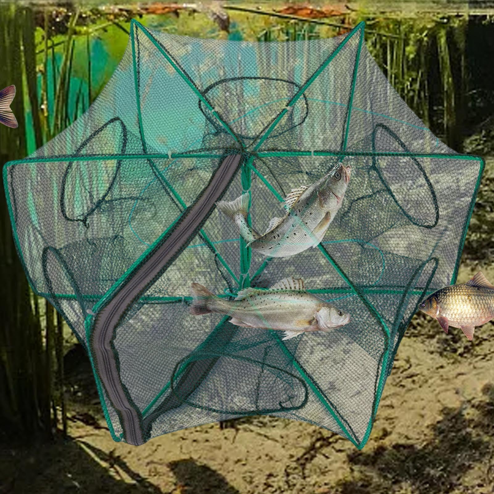 Amazon | カニ取り網、折りたたみ漁網, 6穴ジッパー式釣り罠