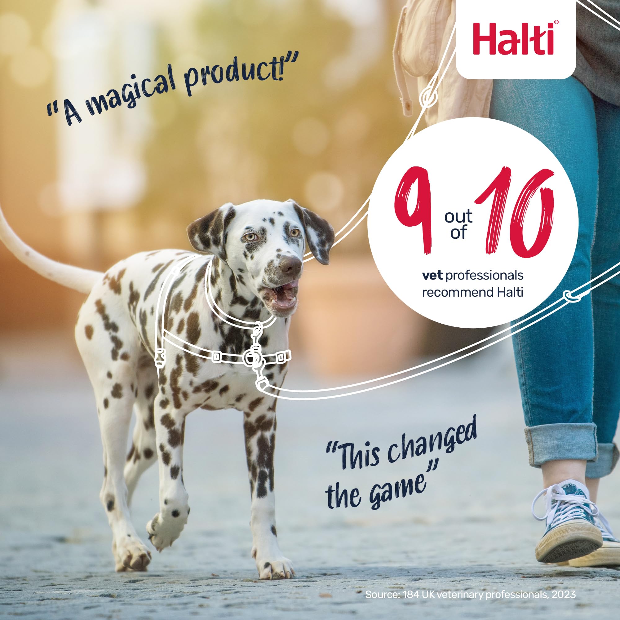 HALTI Arnés de Control Frontal tamaño Grande y Correa de Entrenamiento HALTI tamaño Grande, Paquete Combinado Negro – Evita Que tu Perro Tire de la Correa. Ajustable, Ligero y fácil de Usar. Adecuado