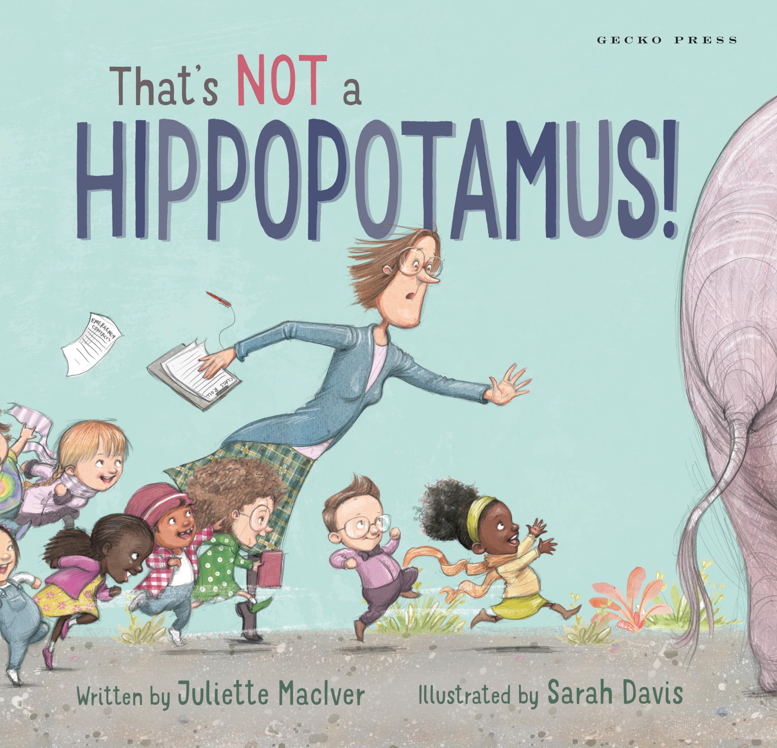 That's Not a Hippopotamus! by Juliette MacIver (Paperback Book)