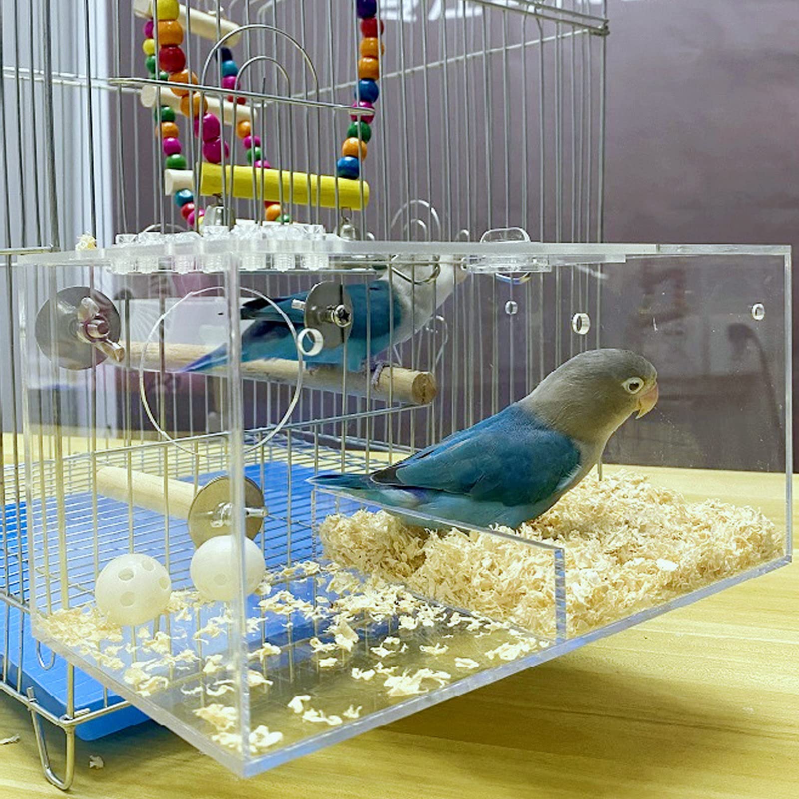 Caja acrílica para cría de pájaros, Caja Nido Transparente para Loros con Poste y Acolchado, Material no Seguro, fomenta comportamientos Naturales de anidación para pájaros (Grande 35,83x15,75