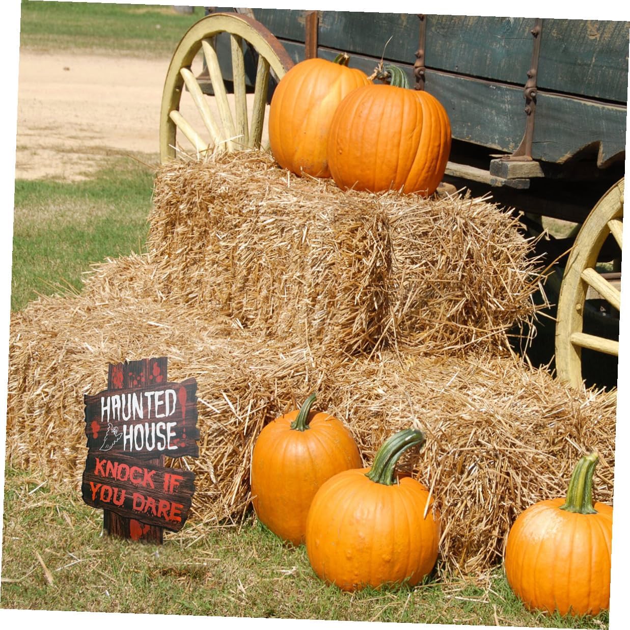 6pcs Halloween Warning Yard Signs Graveyard Street Stakes Outdoor Lawn Decor Halloween Party Decorations Style