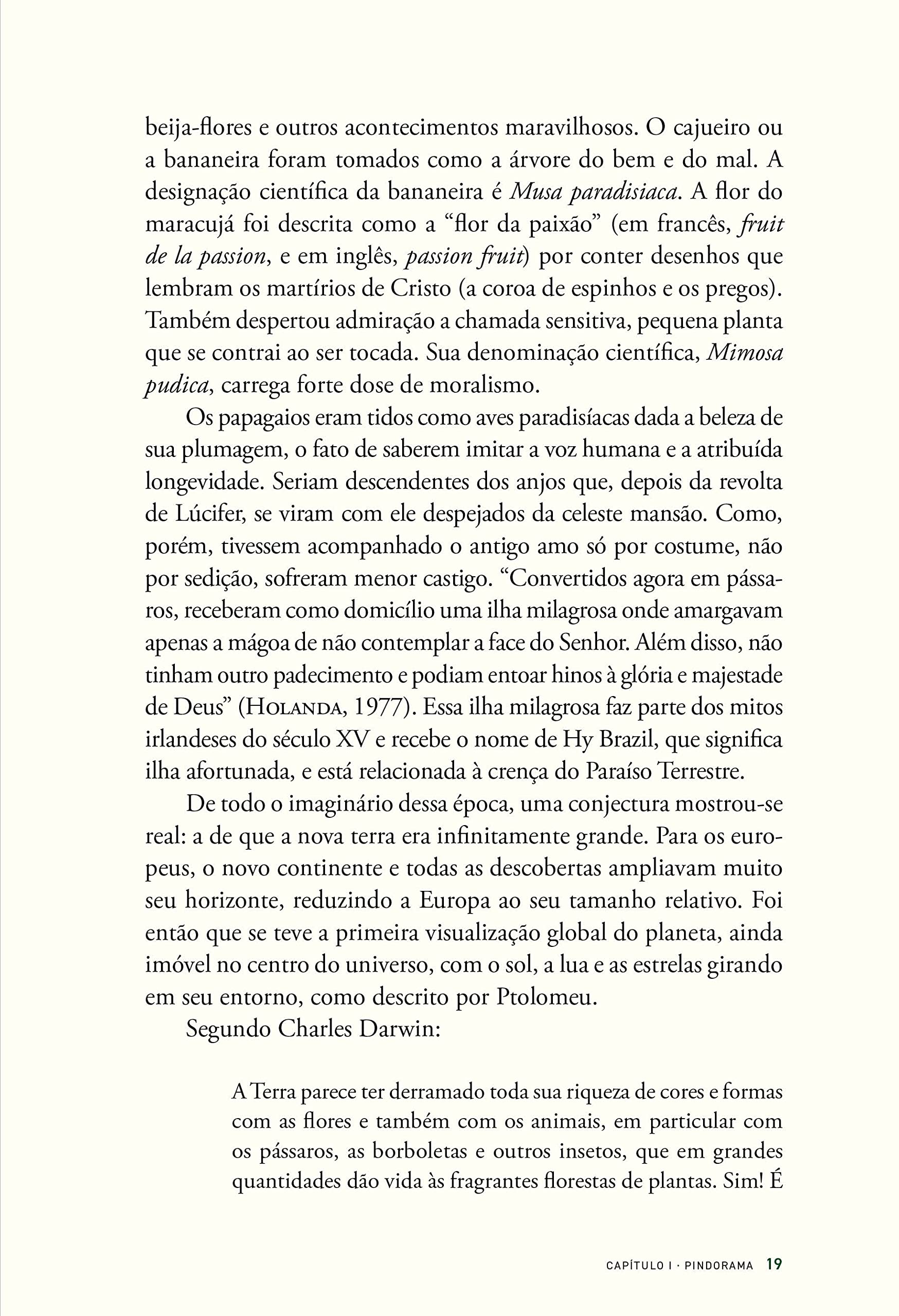História das florestas brasileiras